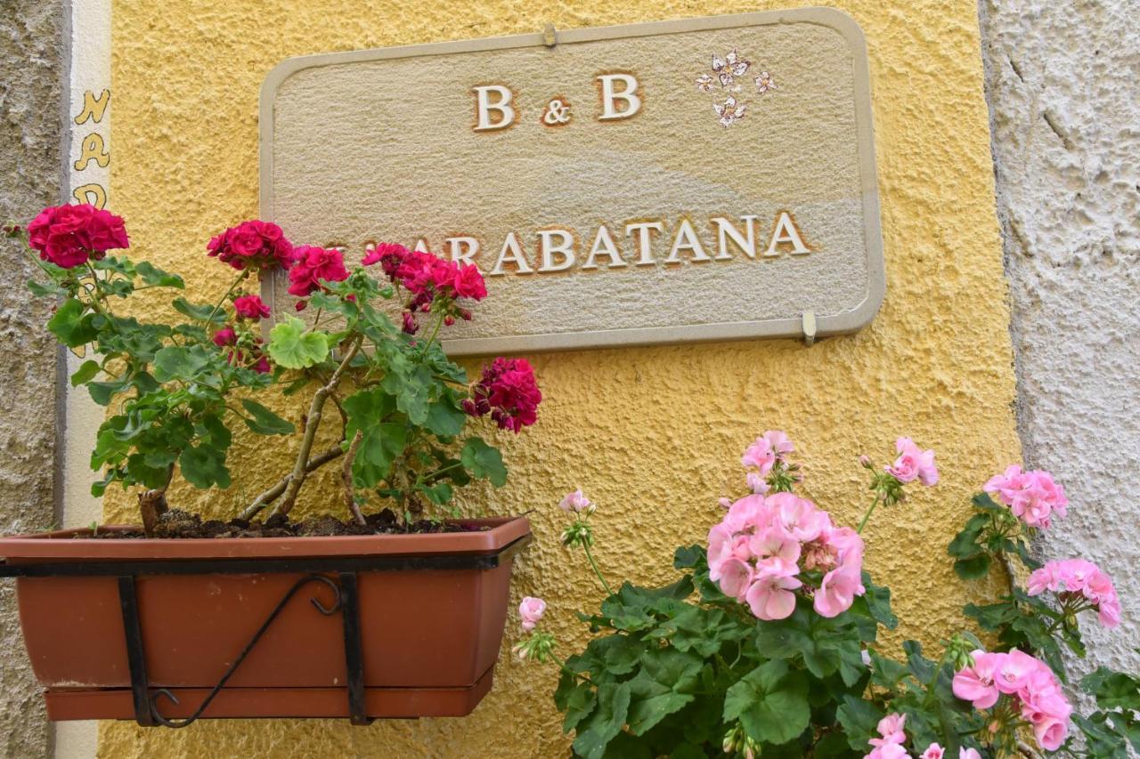 B&B L'Arabatana Pietrapertosa Exterior foto